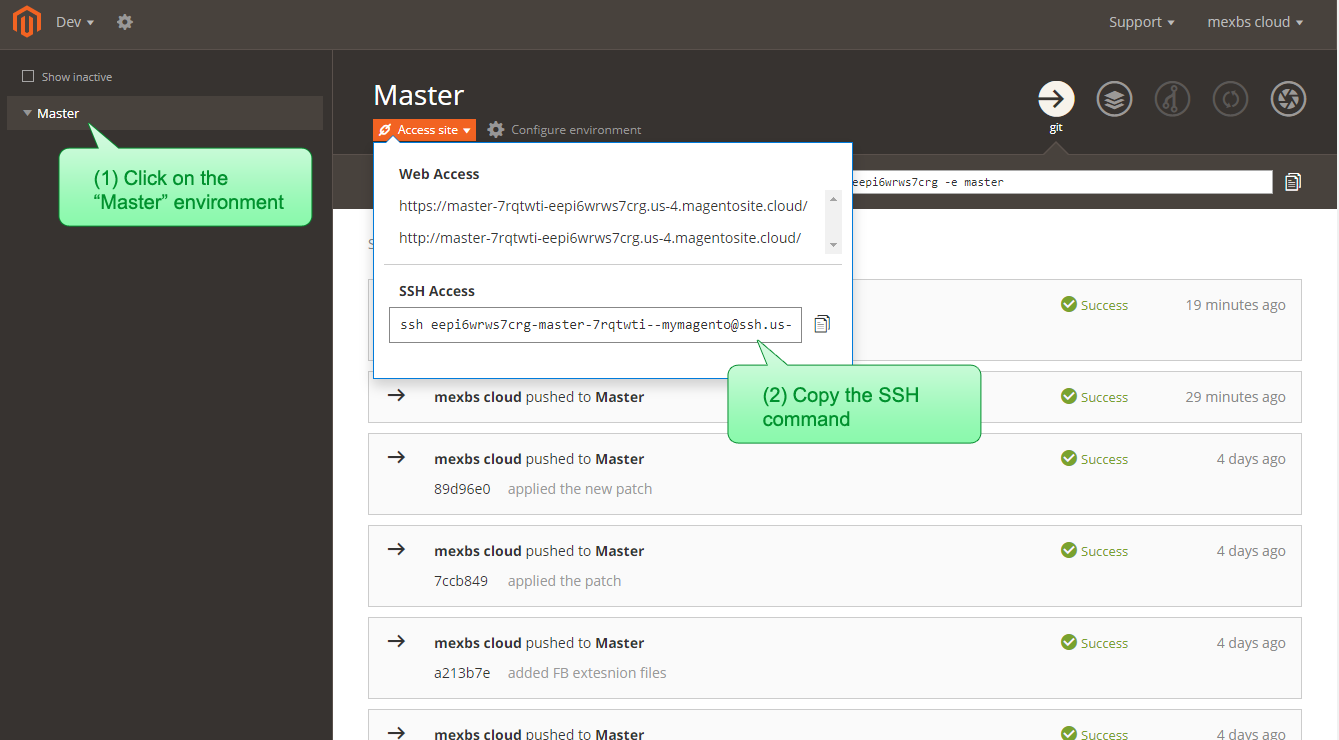 In the Master environment web interface copy the SSH command