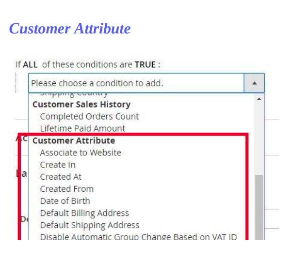 Customer attributes show up in the conditions dropdown