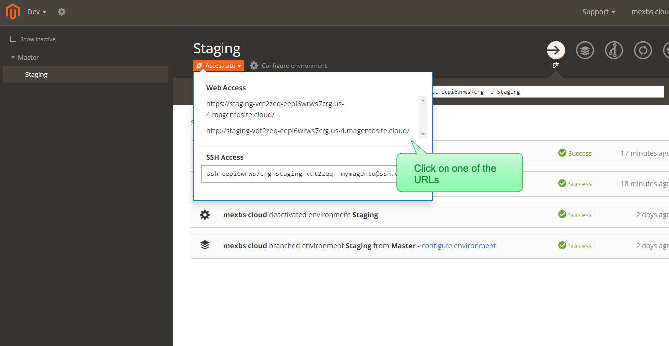 Magento Cloud web interface - the Staging website URL shown up